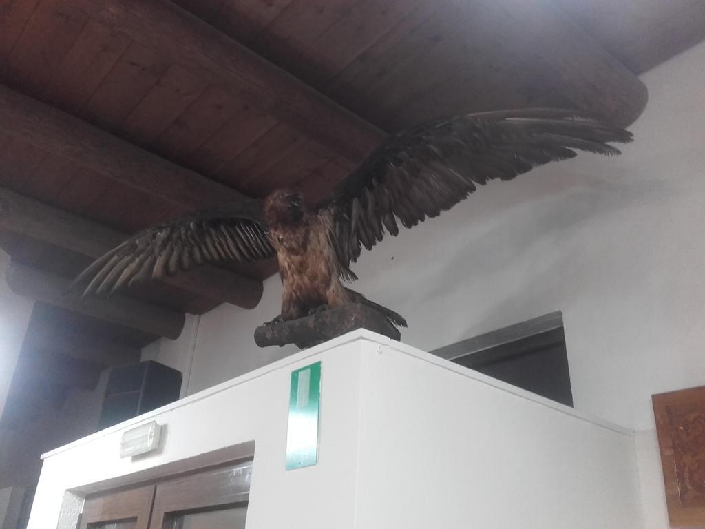 To Ellinikon Apartment Omalós Екстериор снимка